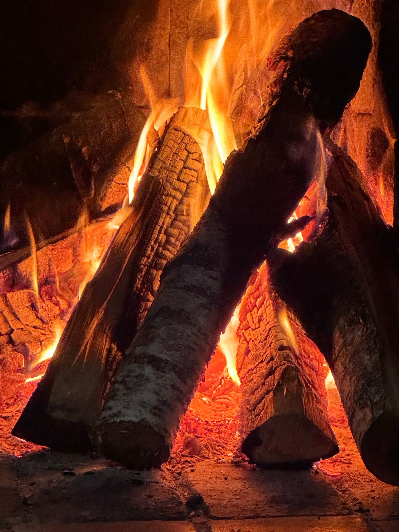 Burning logs, close-up