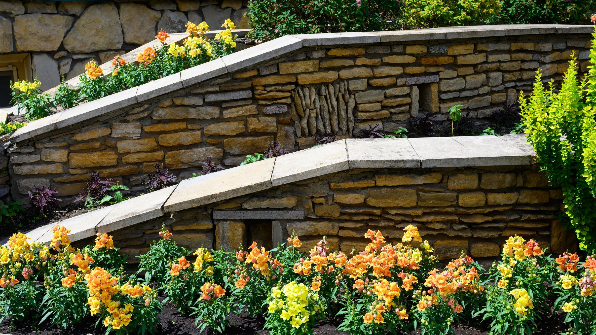 Terraced stone garden walls with flower beds